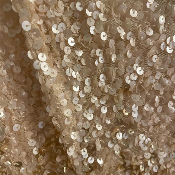 Adrianna Papell Women's Beige Sequined Sleeveless Gown Formal Dress - Picture 8 of 16